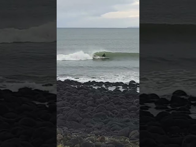 Vídeo relacionado con Manu Bay Surf Company New Zealand Light Blue Starfish Surfer Sudadera