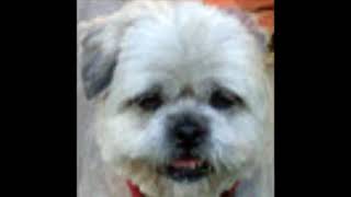 Autumn's Dream Lullaby   MUSIC FREE FOR COMMERCIAL USE