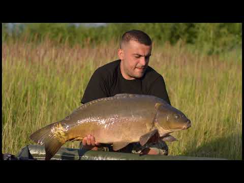 Babiczok 2 i Babiczok 3. Karp 26kg