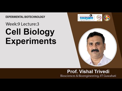 Experimental Biotechnology Intro Video