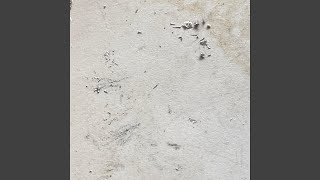 White Truck Music Video