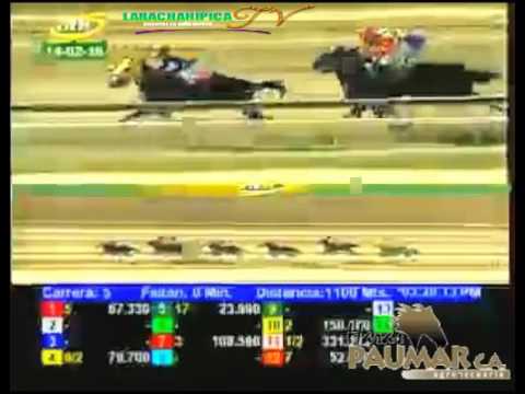 LA RINCONADA 5 CARRERA, DOMINGO 14 DE FEBRERO DEL 2016