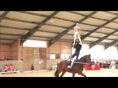 Voltigieren - Turnier Ingelsberg 2024 - Gruppe Ingelsberg 1