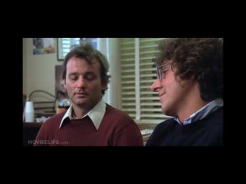 Stripes   Willing to learn