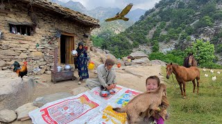 Shepherd’s Couple Life in a Mountain Village of Afghanistan | Where Survival Seems impossible