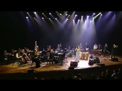 Pink Martini New Years Eve Concert