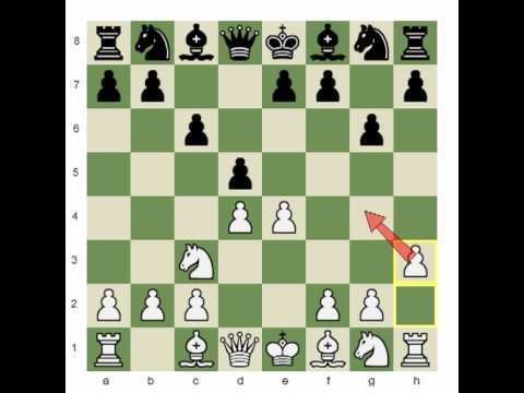 Chess.com:Two Games with GM Pavel Blatny; White