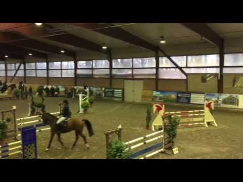 Hengststation Maas J. Hell -  Jennifer Fogh Pedersen mit For Ever Fun