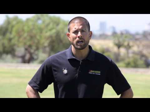 download lagu mp3 mp4 Is Bark Mulch Bad For Dogs, download lagu Is Bark Mulch Bad For Dogs gratis, unduh video klip Is Bark Mulch Bad For Dogs