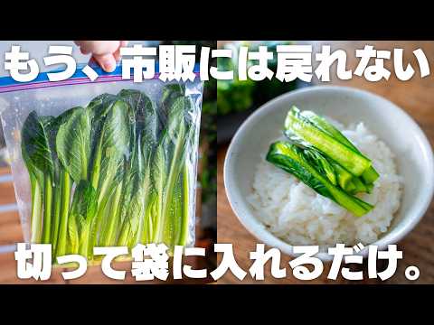 【90円】安くて簡単で旨い。小松菜漬け。