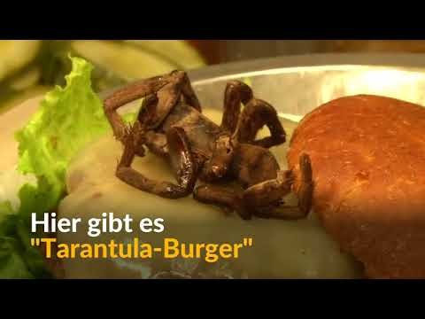 Hauptsache es schmeckt: Der Tarantula-Burger