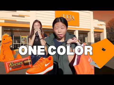 BUYING Everything in ONE COLOR for my SISTER *NO BUDGET 😱*