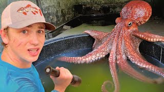 I Found Mysterious Fish Living in an Abandoned Pond!