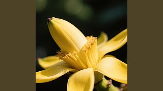 I take a deep breath