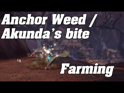 BFA: Anchor Weed / Akunda's Bite FARMING