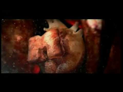 MTV Ident - The Stomach
