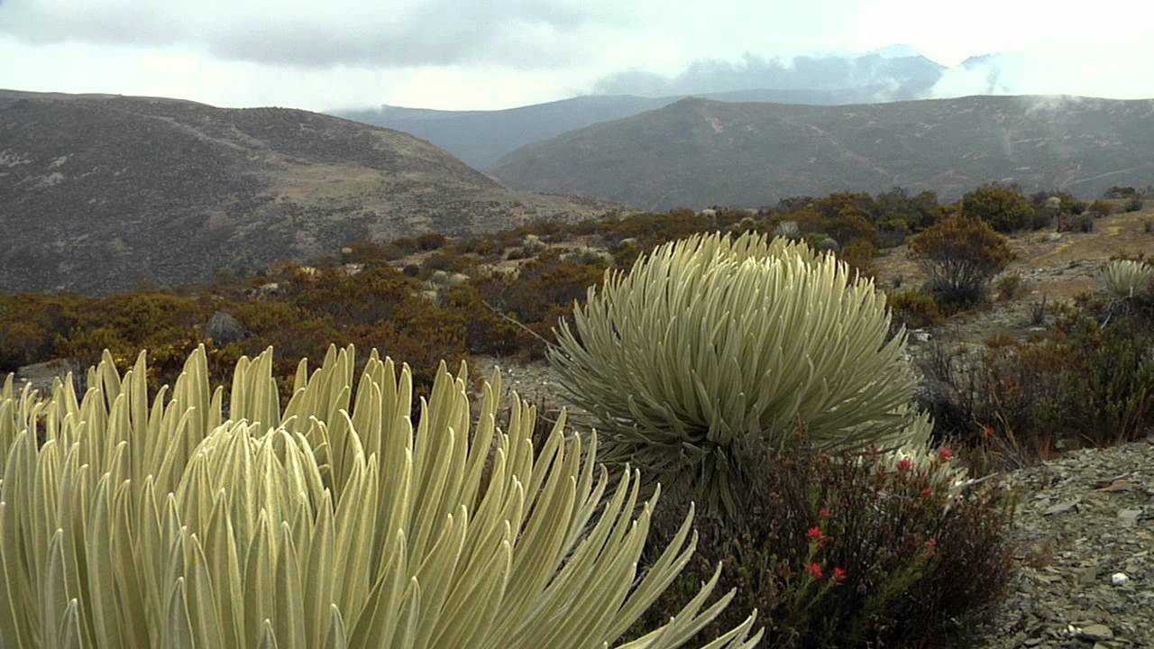 Trailer de "El Misterio de las Lagunas Fragmentos Andinos"
