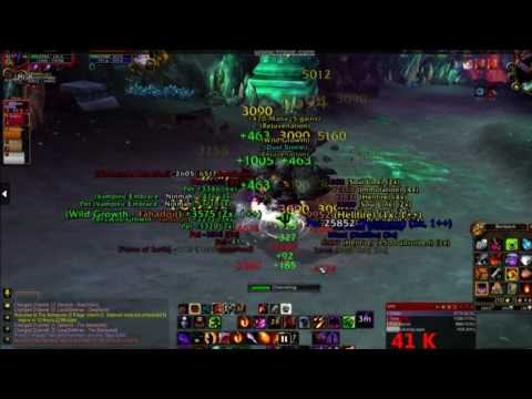 Demonology Warlock [41K Dps]