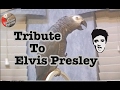 Einstein's Tribute to Elvis Presley 