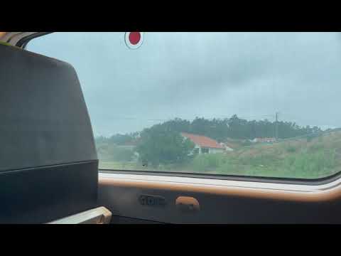 Alfa Pendular | Pendulação | Ambiente a bordo