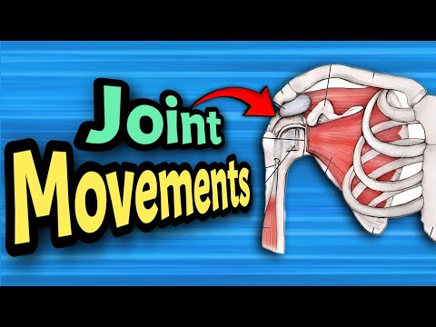 SHOULDER joint : Movements, bones and muscles | Anatomy