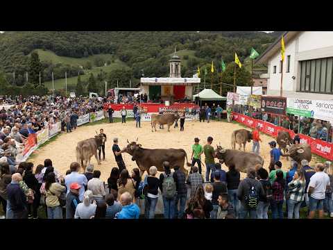 La mostra zootecnica di Serina - 23 settembre 2026