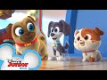 New Playcare For Puppies Puppy Dog Pals Disney Junior