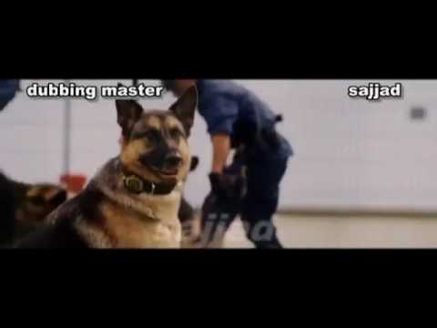 Funny video of dog abusing