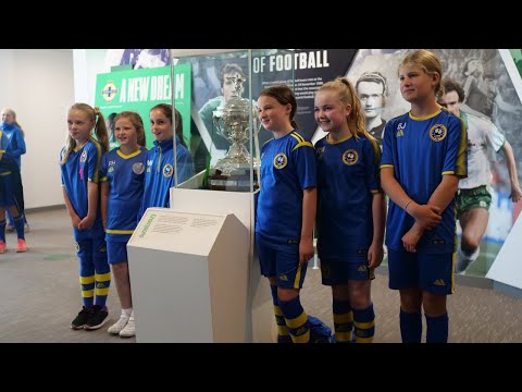 Northern Ireland players surprise Bangor Swifts on stadium tour