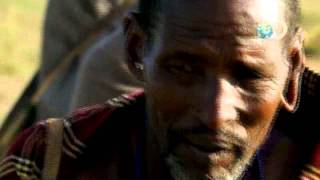 [問卦] 有什麼野生動物 敢主動惹人類？