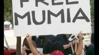 Mumia Commentary
