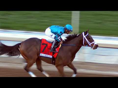 DUBAI WORLD CUP NIGHT TEASE