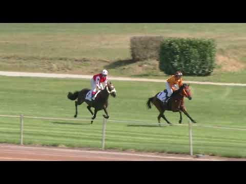 Avenches/15.09.2018/Poneys D - Price of the company Intool AG