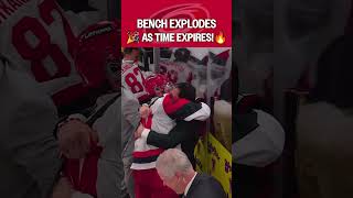 PANDEMONIUM on the Canes bench! ????