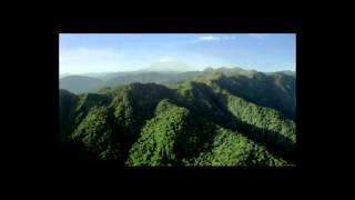 Robin Gibb : &quot;Don&#39;t Cry Alone&quot;