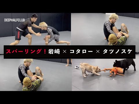 選手練スパーリング！岩崎×コタロー×タツノスケ