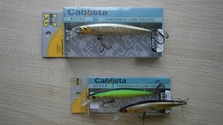 Pontoon 21 cablista 90f smr