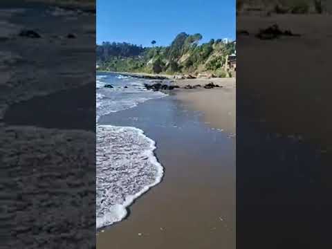 Playa el morro de tomé región del bio bio chile
