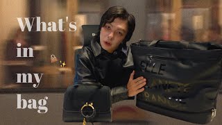 バッグの中身紹介👜 feat.ズズ