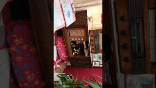 DORIS DAY PURPLE COW