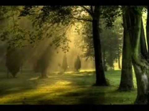 Hanya Nyanyian - S.Effendi