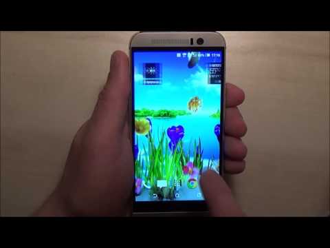 Spring Live Wallpaper Video