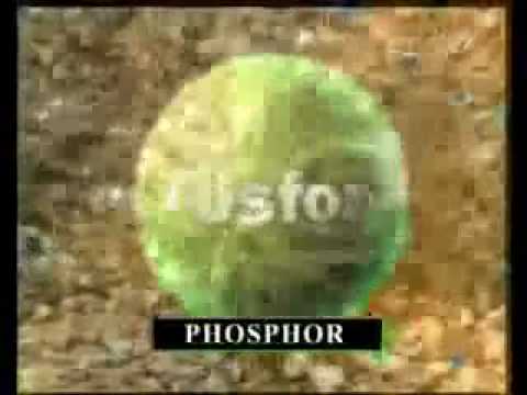 Beweise für die Existenz Gottes 1/5