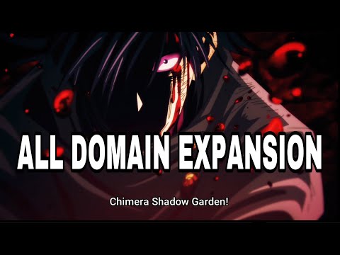Jujutsu Kaisen All Domain Expansion