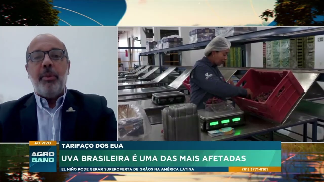 Fruticultura busca alternativas após tarifa dos Estados Unidos