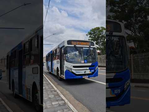 Caio Apache vip V & Torino S - Cs Brasil & Princesa do Norte, Mogi das cruzes