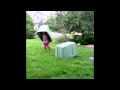 Transformers 1