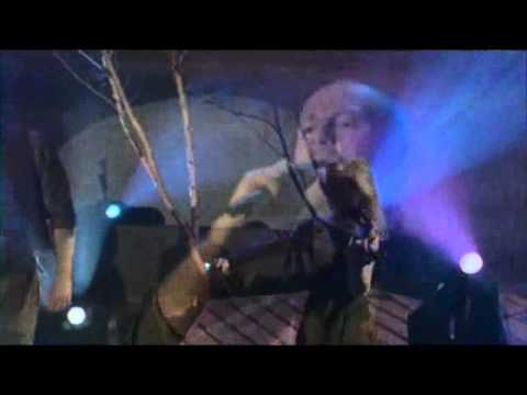 The Black Velvet Band - The High Kings