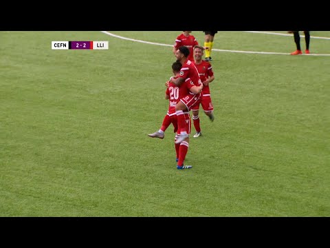 Derwyddon Cefn 2-3 Llanelli
