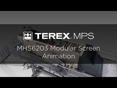 MHS6203 Overview Animation